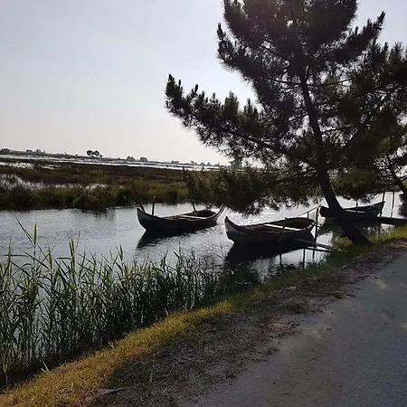 Casa Da Ribeira 阿威罗