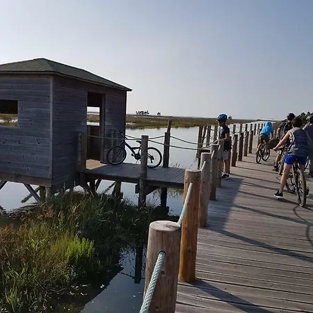 Casa Da Ribeira * Aveiro